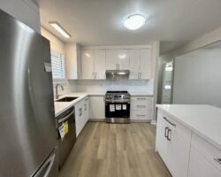 **RENOVATED** 3 Bedroom Semi-Detached!!